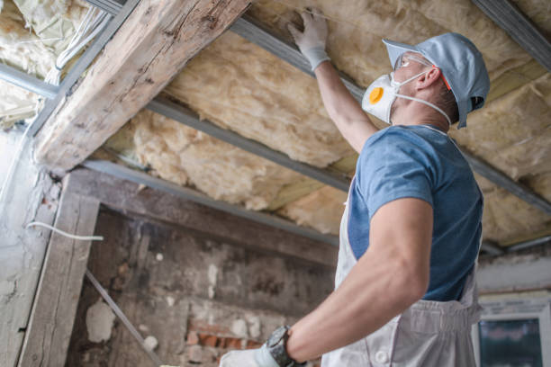 Best Residential Insulation in Wesson, MS