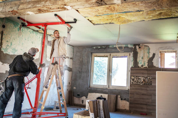 Best Cellulose Insulation in Wesson, MS