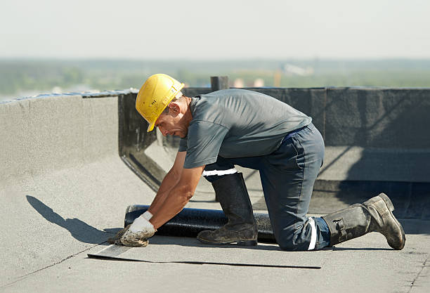 Best Geographic-Specific Insulation Services in Wesson, MS